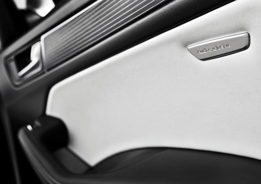 Детали интерьера Audi SQ5 TDI (8R) 2013 года  (WW) (фото 29 из 73)